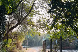 Đường về quê dịp Tết không xa mà nỗi nhớ tràn đầy