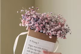 Cửa hàng hoa giảm nửa đơn hàng dịp 8/3