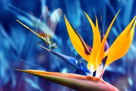 Người có giờ sinh này luôn may mắn, làm gì cũng ra tiền