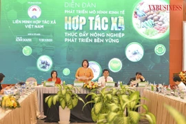 Tháo gỡ khó khăn, thúc đẩy kinh tế hợp tác xã phát triển bền vững