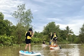 Lắc lư cùng SUP dưới tán bần xanh