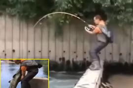 Video: Cần thủ tóm gọn cá trê to như người 