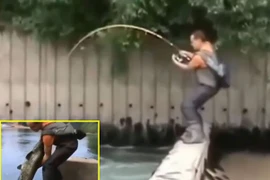 Video: Cần thủ tóm gọn cá trê to như người 