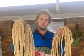 Kiểm tra gác mái, người đàn ông sốc nặng phát hiện thứ kinh dị