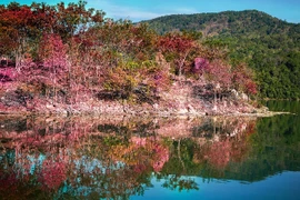 Khung cảnh hoang sơ, lãng mạn nơi "bộ 3 đệ nhất thác"