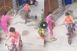 Người phụ nữ thẳng tay ném đá chết chú chó gây phẫn nộ