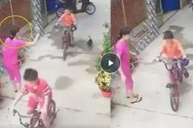 Người phụ nữ thẳng tay ném đá chết chú chó gây phẫn nộ