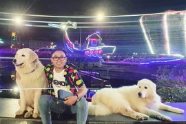 2 chú chó tại Đà Lạt "làm việc" vì "miếng cơm manh áo"