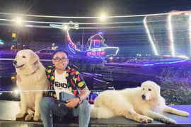 2 chú chó tại Đà Lạt "làm việc" vì "miếng cơm manh áo"