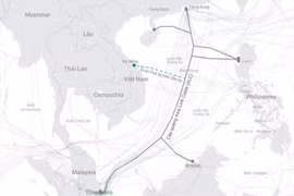 Ông lớn Internet Việt Nam đầu tư tuyến cáp quang biển mới