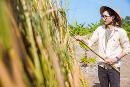 9x Kiên Giang “lấy cỏ đổi đô”, thu về hàng trăm triệu đồng