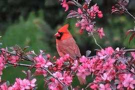 Ai sinh 3 tháng Âm lịch này nhân cách dễ mến, dễ hái thành công 