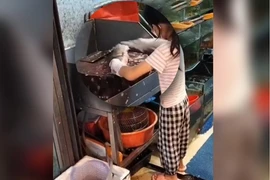 Bé gái Trung Quốc 9 tuổi đánh vảy cá điêu luyện