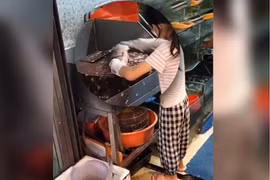 Bé gái Trung Quốc 9 tuổi đánh vảy cá điêu luyện