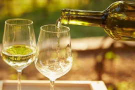 Cách bảo quản từng loại rượu vang không phải ai cũng biết