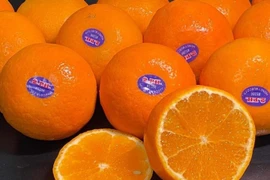 Bay từ Úc về Việt Nam, đặc sản Úc giá rẻ giật mình