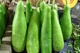 Mẹ bảo ăn rau củ cứ loại này mà chọn, ít thuốc trừ sâu