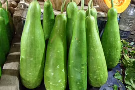 Mẹ bảo ăn rau củ cứ loại này mà chọn, ít thuốc trừ sâu