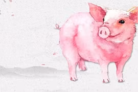 4 tuổi là con cưng Thần Tài, phất lên vun vút nửa đầu 2023