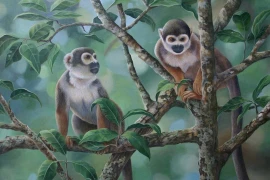 Top 3 con giáp gặp nhiều may mắn, kiếm tiền dễ dàng