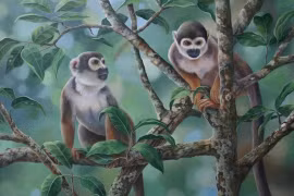 Top 3 con giáp gặp nhiều may mắn, kiếm tiền dễ dàng