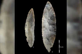 Mẫu xương cổ có thể 'viết lại lịch sử' loài người ở châu Âu