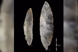 Mẫu xương cổ có thể 'viết lại lịch sử' loài người ở châu Âu