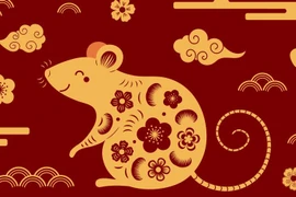 Từ nay tới Tết 2028: 3 con giáp hết Tam Tai làm đâu trúng đó