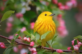 Tháng 12, 4 con giáp lọt vào “danh sách đỏ”, thu nhập hanh thông