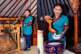 Thức uống cực bổ dưỡng làm từ sữa ngựa của người Mông Cổ