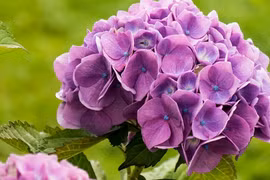 Ai sinh tháng Âm lịch này, thời gian tới bứt phá ngoạn mục