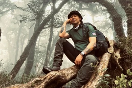 Khu rừng nguyên sinh đẹp như cổ tích trên đỉnh Sa Mu, Putaleng