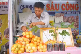 Chanh leo ngọt cả trăm nghìn đồng/kg vẫn cháy hàng