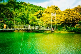 Phượng vàng phủ sắc, cầu treo ở Đắk Nông đẹp như tranh