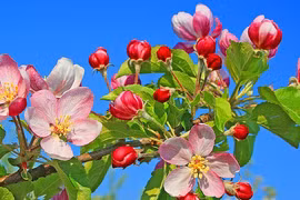 Sinh ngày Âm lịch này nỗ lực hết mình, sự nghiệp sớm thành công