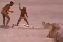 Video: Thổ dân châu Phi liều mạng cướp mồi của báo săn 