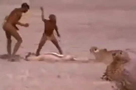 Video: Thổ dân châu Phi liều mạng cướp mồi của báo săn 