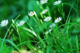 Người có trí tuệ cảm xúc cao không đến thăm nhà ba người này