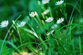 Người có trí tuệ cảm xúc cao không đến thăm nhà ba người này