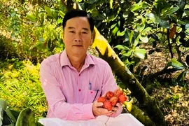 Chôm chôm Java tăng giá, cả làng này ở Vĩnh Long ai cũng mừng 