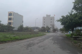 Nhà đầu tư ôm tiền về các tỉnh săn đất nền giá rẻ