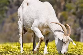 3 tuổi ế bằng thực lực nhưng luôn than trách ông trời bất công