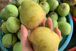 Dân Hà thành mê mẩn đặc sản Sơn La giá rẻ