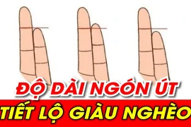 Đo độ dài ngón út, biết ngay ai hưởng phúc lộc, ai nghèo mạt kiếp