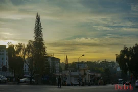 Đà Lạt bình yên trong buổi sớm mai