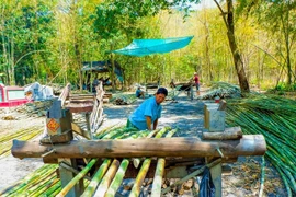 Về nơi “thủ phủ tầm vông” ở miền Tây