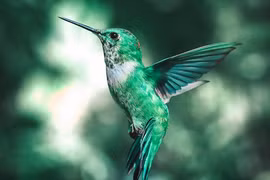 Tháng 8 Âm, 4 con giáp kiếm tiền vui vẻ, tương lai sung túc