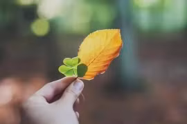 Khởi đầu của một gia đình sa sút không phải là thiếu tiền