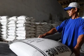 Trung Quốc, Philippines ồ ạt mua gạo Việt Nam