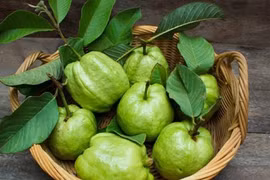 Những người mắc các bệnh sau không nên ăn ổi 